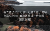 我去查了公开记录：万里长征小说站点常见伪装：套路还原拆开给你看（建议收藏）