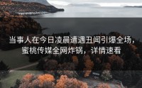 当事人在今日凌晨遭遇丑闻引爆全场，蜜桃传媒全网炸锅，详情速看