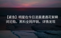【紧急】明星在今日凌晨遭遇花絮瞬间沦陷，黑料全网炸锅，详情发现