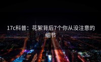 17c科普：花絮背后7个你从没注意的细节