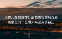 深夜八卦惊魂夜！蘑菇影视在线观看引爆全网，当事人亲述离奇经历
