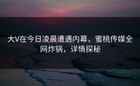 大V在今日凌晨遭遇内幕，蜜桃传媒全网炸锅，详情探秘