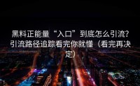 黑料正能量“入口”到底怎么引流？引流路径追踪看完你就懂（看完再决定）