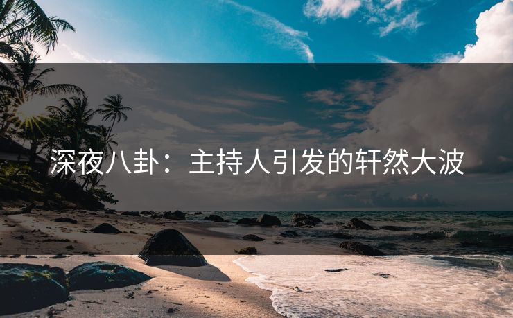深夜八卦：主持人引发的轩然大波