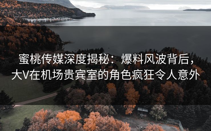 蜜桃传媒深度揭秘：爆料风波背后，大V在机场贵宾室的角色疯狂令人意外