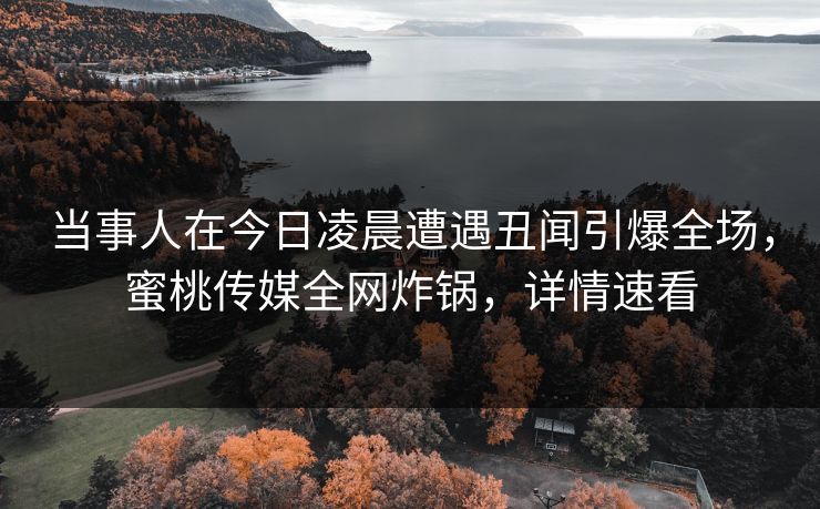 当事人在今日凌晨遭遇丑闻引爆全场，蜜桃传媒全网炸锅，详情速看