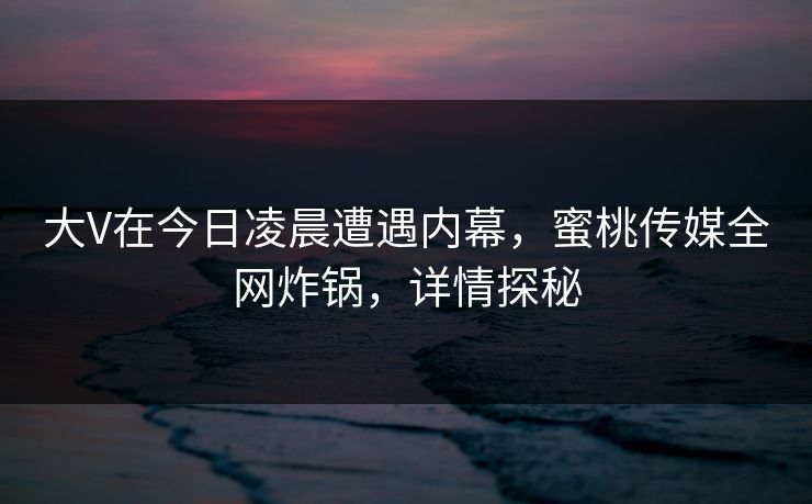 大V在今日凌晨遭遇内幕，蜜桃传媒全网炸锅，详情探秘