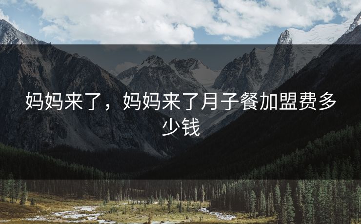 妈妈来了,妈妈来了月子餐加盟费多少钱 妈妈来了,妈妈来了月子餐加盟费多少钱