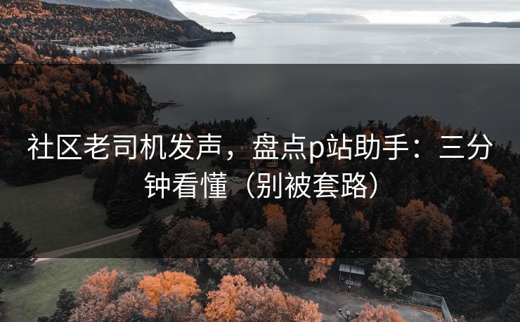 社区老司机发声,盘点p站助手:三分钟看懂(别被套路) 社区老司机发声,盘点p站助手:三分钟看懂(别被套路)